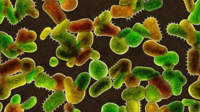 Microbiology & Infectious Diseases